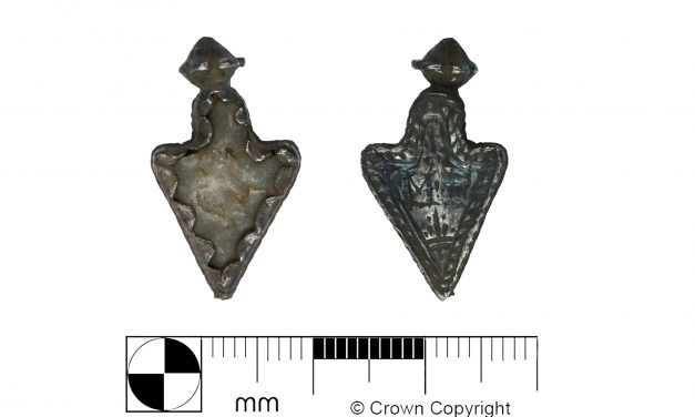 From Field to Museum: the Treasure Trove System